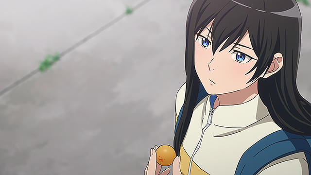 卓球少女　閃光のかなたへ