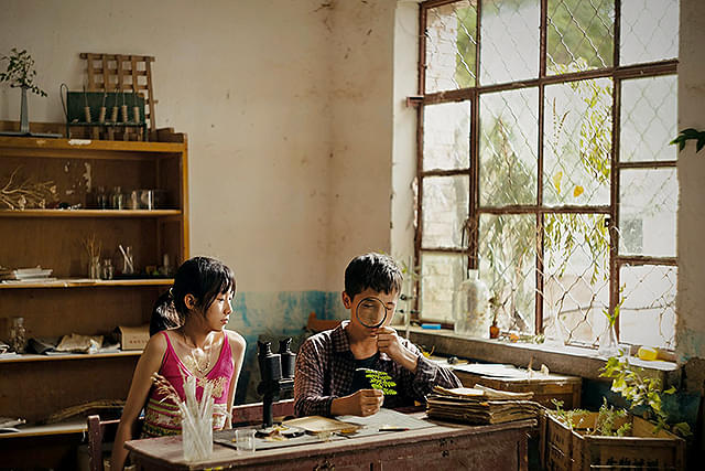 ボタニスト　植物を愛する少年