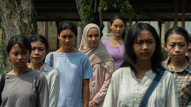 サトウキビは知っている