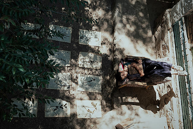 ボタニスト　植物を愛する少年