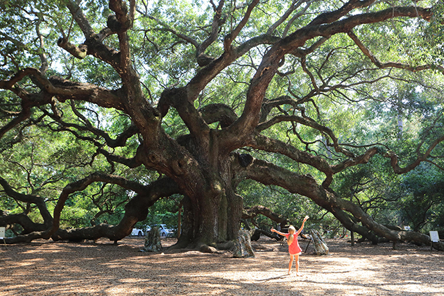 イントゥ・ザ・ネイチャー　自然が教えてくれること