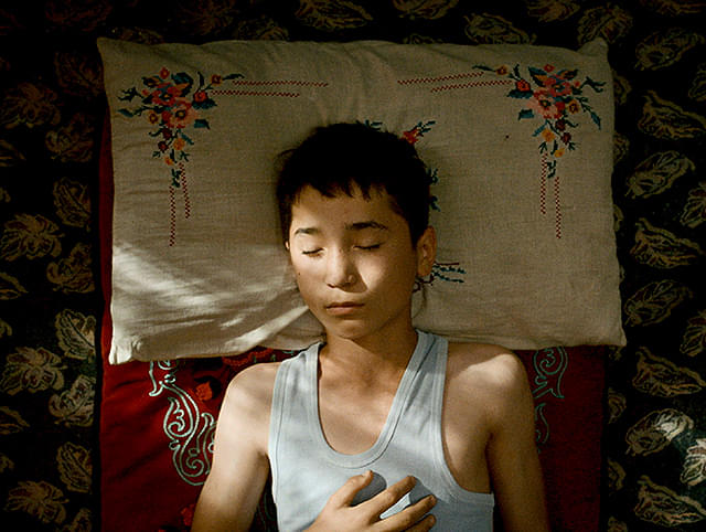 ボタニスト　植物を愛する少年