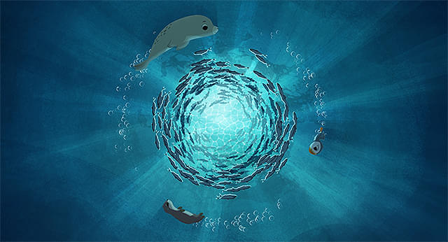 パフィンの小さな島