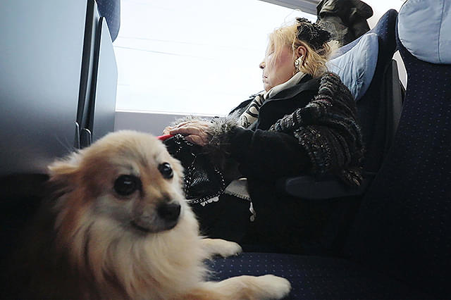 フジコ・ヘミング　永遠の音色