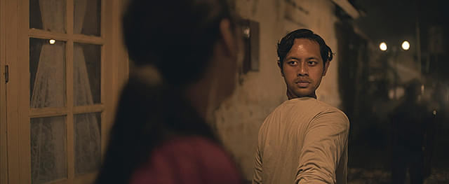 サトウキビは知っている