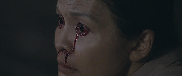 サトウキビは知っている