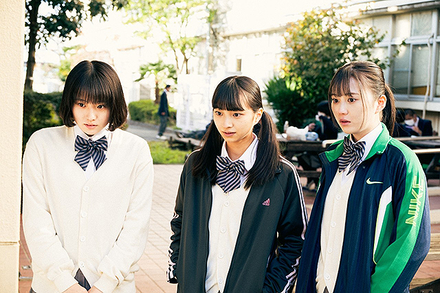 イルカはフラダンスを踊るらしい