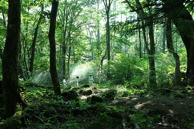 約束のネバーランド