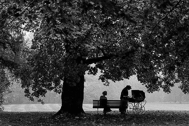 ガール・ウィズ・ニードル