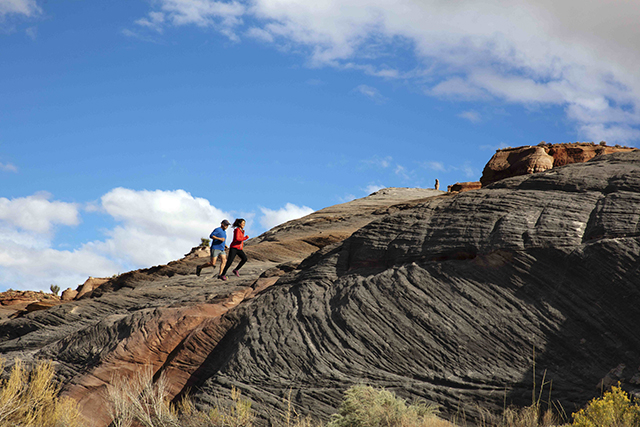 イントゥ・ザ・ネイチャー　自然が教えてくれること