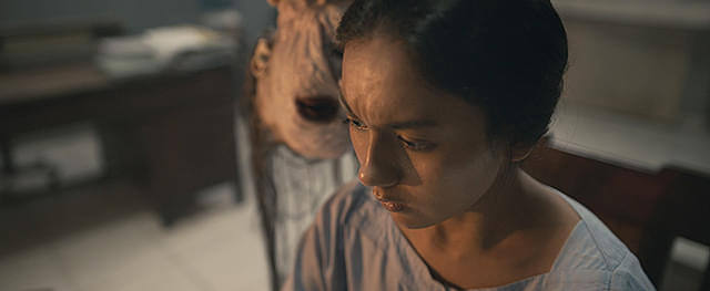 サトウキビは知っている