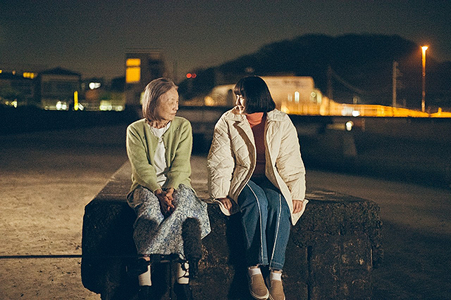 イルカはフラダンスを踊るらしい