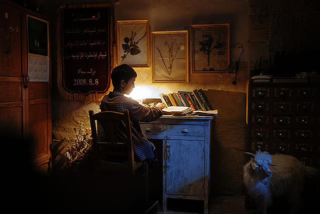 ボタニスト　植物を愛する少年