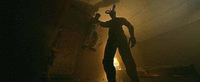 サトウキビは知っている