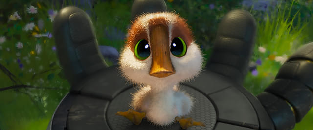 野生の島のロズ