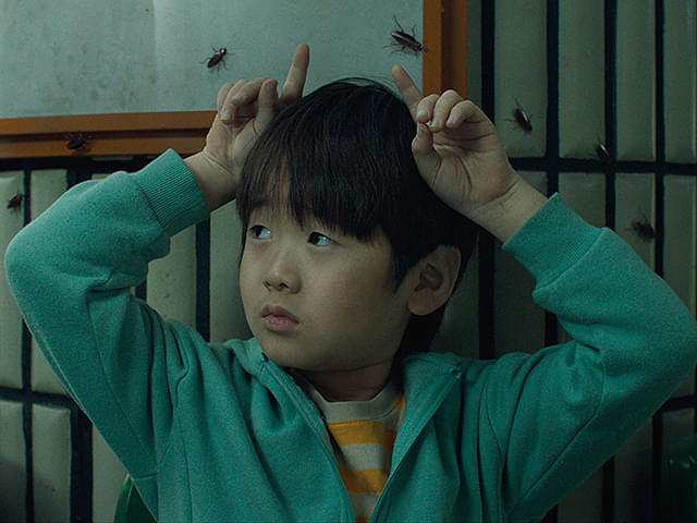 全知的な読者の視点から