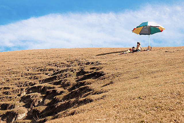 ボタニスト　植物を愛する少年