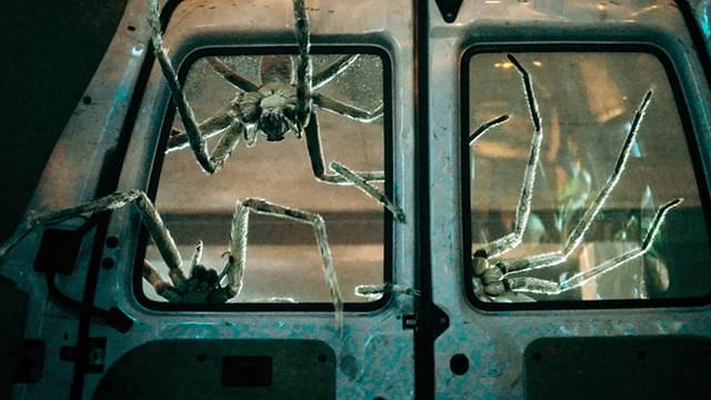 スパイダー　増殖