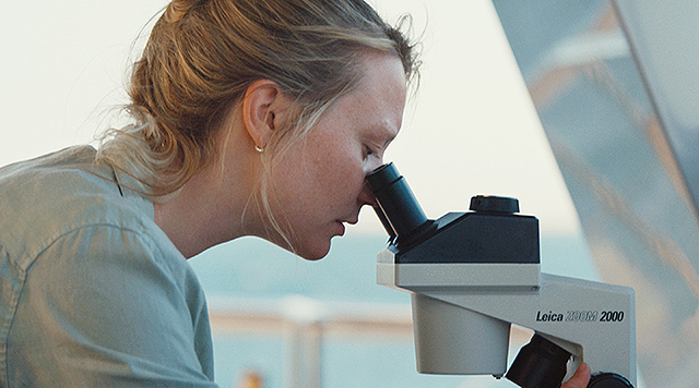 ブルーバック　あの海を見ていた