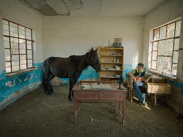 ボタニスト　植物を愛する少年