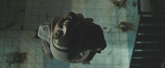 サトウキビは知っている