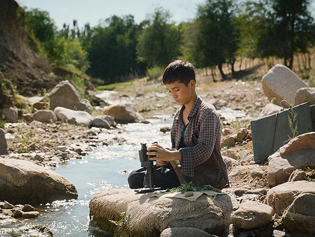 ボタニスト　植物を愛する少年