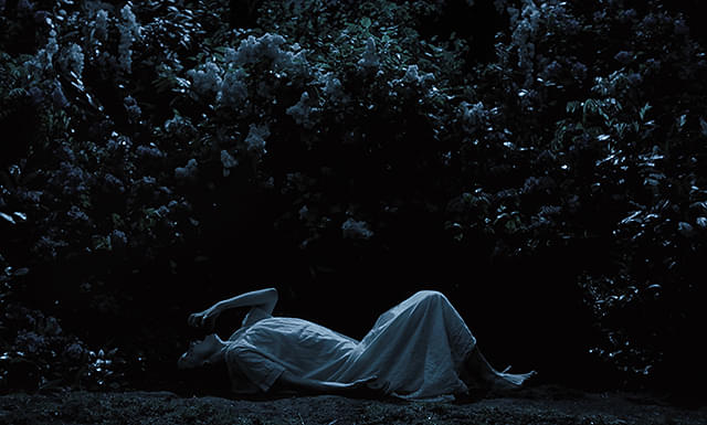 ノスフェラトゥ