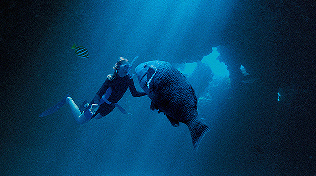 ブルーバック　あの海を見ていた