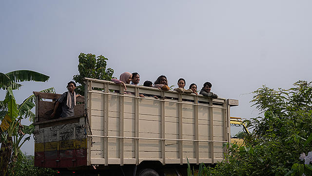 サトウキビは知っている