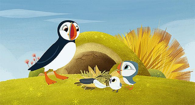 パフィンの小さな島