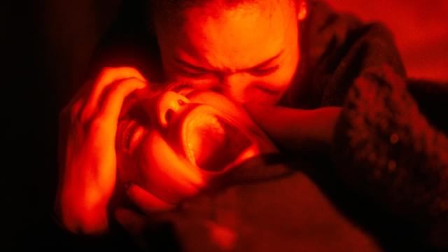 スパイダー　増殖