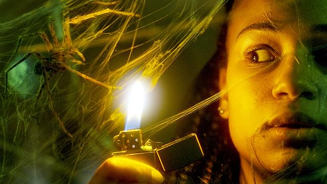 スパイダー　増殖