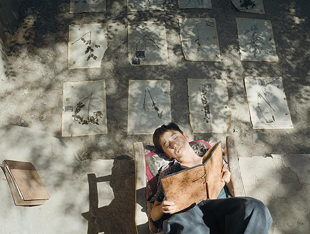 ボタニスト　植物を愛する少年